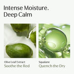 Centella Repairing Toner (4 Fl Oz/120ml)